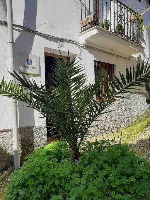 La Casa Chica De Luis *